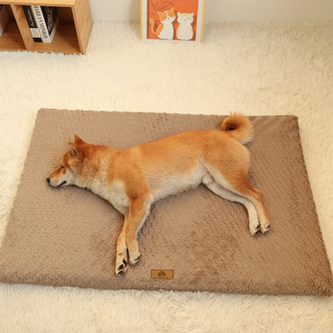Shiba Inu laying comfortably on orthopedic faux fur dog bed, ideal for joint support and relaxation on soft carpet.