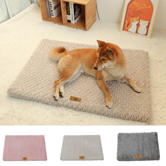 Shiba Inu lying on a beige orthopedic memory foam dog bed with faux fur cover, shown in three color options for different room styles