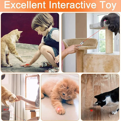Children and pets playing with a laser pointer toy; shows multiple scenes of interactive fun