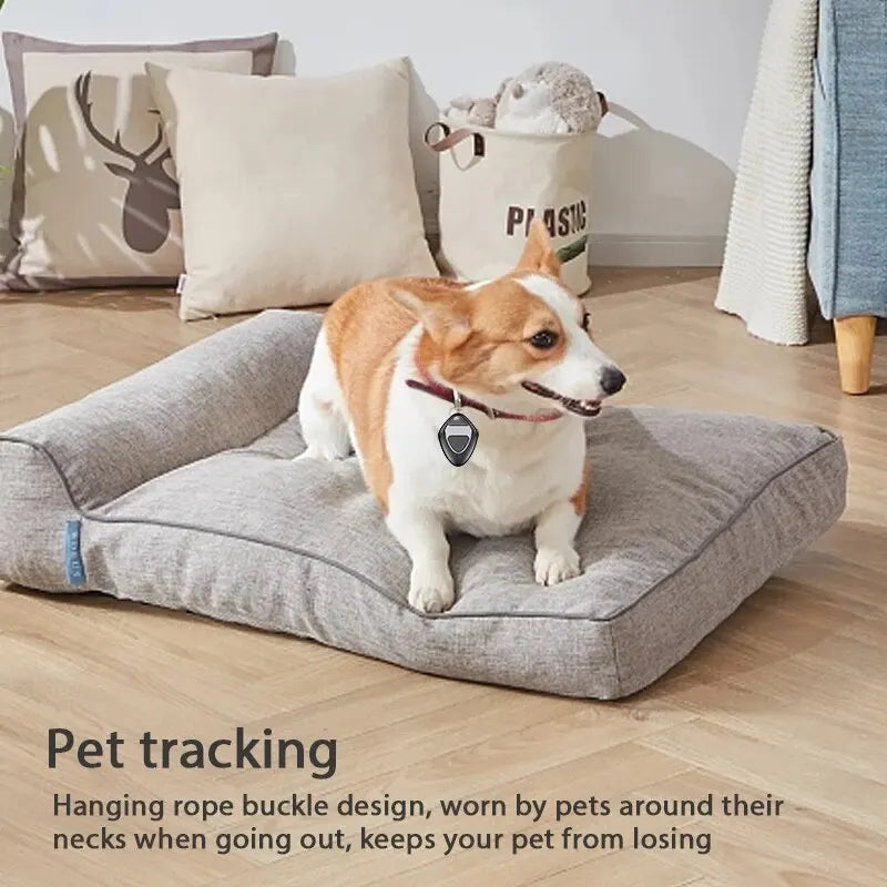 Corgi wearing a smart GPS tracker on its collar for pet tracking, sitting on a cushion in a cozy home setting