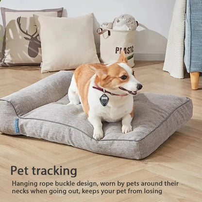 Corgi wearing a smart GPS tracker on its collar for pet tracking, sitting on a cushion in a cozy home setting