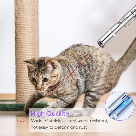 Tabby cat chasing a red dot from a stainless-steel USB-rechargeable 7-in-1 laser pointer, demonstrating the toy’s high-quality build.